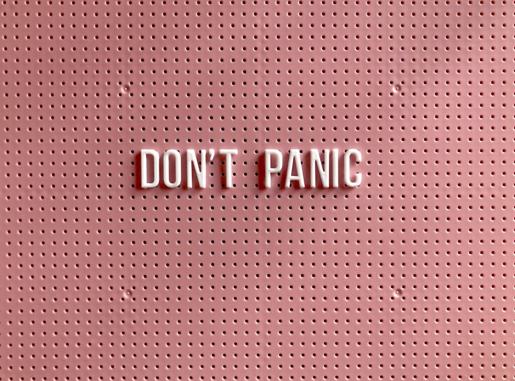 don't panic text